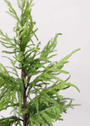 Afloral Artificial Norfolk Pine Tree - 36"