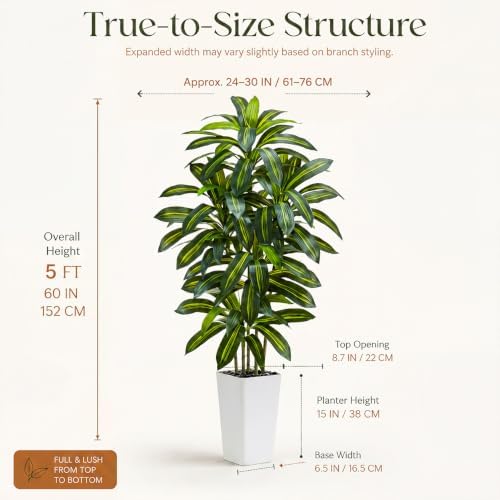 Artificial Dracaena Tree: 5FT Fake Plants Silk Faux Trees（White Pot）