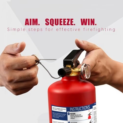 ABC Fire Extinguisher for Home & Vehicle - 2.5 lb 1-A:10-B:C Rated, Dry C...