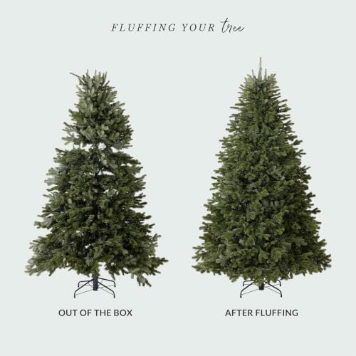 Balsam Hill BH Fraser Fir - Full Christmas Tree with Most Realistic True Needle Foliage, Easy Plug Technology & Multiple Height and Lighting Options, Clear Incandescent, 6.5ft