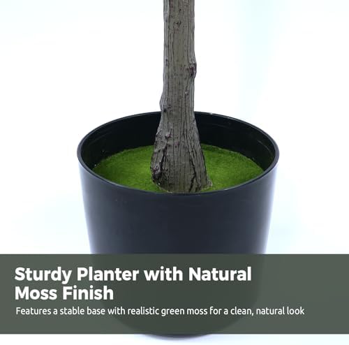 Olive Trees Artificial Indoor 6FT, Faux Olive Tree with Woven Basket & Natural-Looking Wood Trunk, Realistic Leaves & Fruits, Maintenance-Free Tall Fake Olive Tree for Modern Home Office Decor