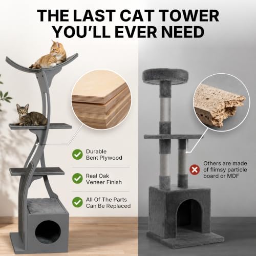 the refined feline 69 inch tall smoke gray, front angle view