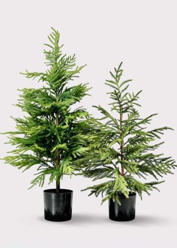 Afloral Artificial Norfolk Pine Tree - 36"