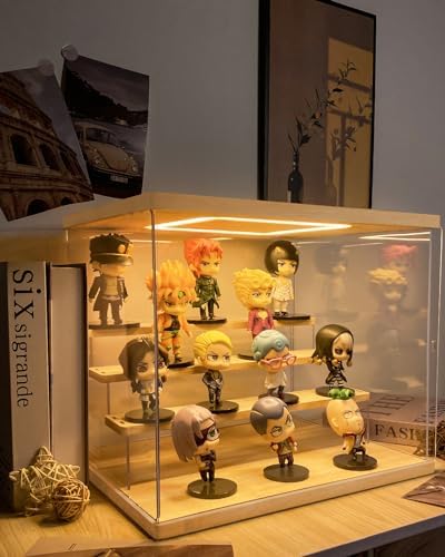 Clear Acrylic Display Case with LED Lights for Figures Collectibles