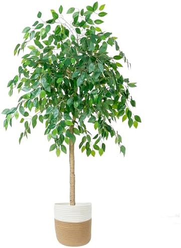 Artificial Ficus Tree, 6Ft
