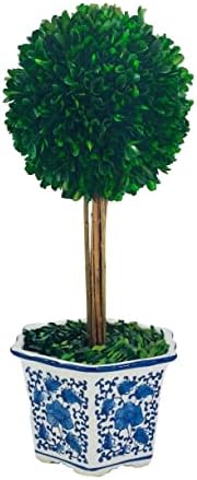 Galt International Naturally Preserved Boxwood Ball Topiary Tree in Hand Painted Blue & White Ceramic Pot Planter - European Rococo Home Decor Classic Chinoiserie - 8" Diameter Topiary 19" Tall