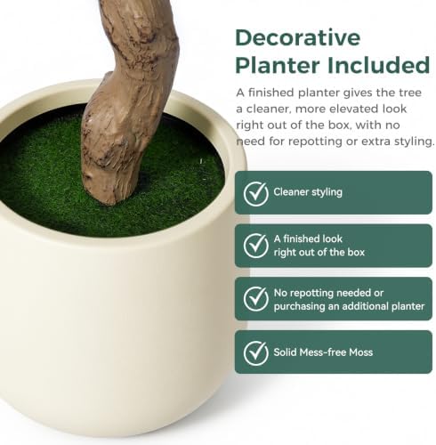 6FT Faux Olive Tree with Decorative Planter, Olive Trees Artificial Indoor with Textured Trunk, Silk Leaves and Olive Fruits, Fake Plants for Living Room, Entryway and Office Decor