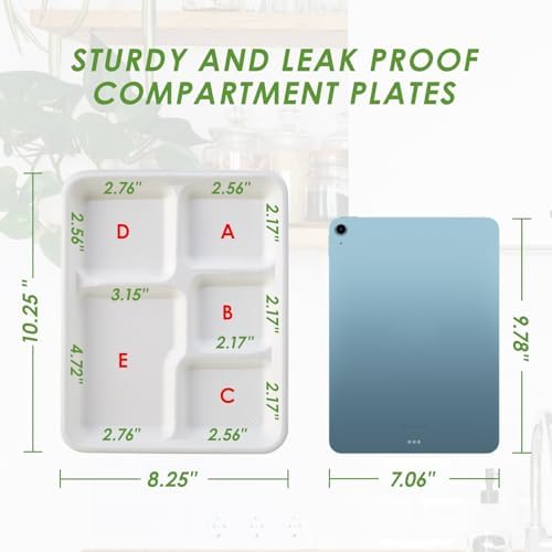 Vplus 125 Pack 5 Compartment Plates, Compostable Plate, 10.2x8.5 inch