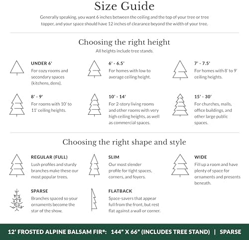 Balsam Hill Frosted Alpine Balsam Fir - Snow-Kissed Artificial Christmas Tree with Pre-Fluffed Memory Wire Branches and LED Clear Fairy Lights, 12'