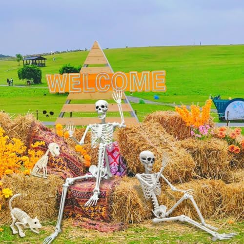 5.4FT Life Size Skeleton with Cat Dog, Plastic Skeleton for Halloween Decor