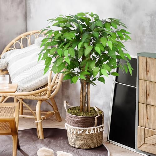 3ft Ficus Artificial Trees with Natural Curved Trunks, 36" Tall Lush Faux Tree for Home Decor Indoor, Green Lifelike Fake Ficus Tree Artificial Plants(Set of 2)