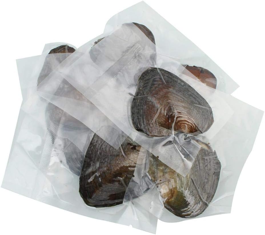 freshwater pearl oyster cultured love wish round pearls, side view
