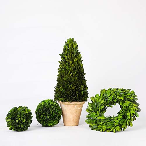 Preserved Boxwood Wreath, 11 Inches, Green Wreath for All Seasons Indoor Use Suits for Wedding, Christmas, Halloween, Valentine's Day
