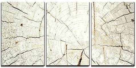 wall26 3 piece canvas wall art natural weathered, close-up detail
