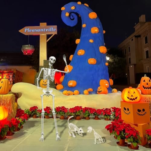 5.4FT Life Size Skeleton with Cat Dog, Plastic Skeleton for Halloween Decor
