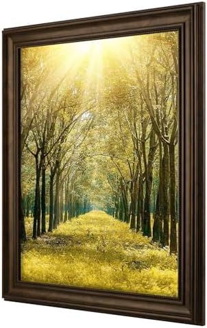 16x20 Ornate Picture Frame,Real Glass,Dark Brown Poster Photo Frame