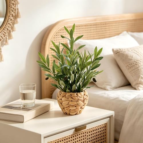 AlphaAcc Fake Potted Plant Small Olive Water Hyacinth Mediterranean Decor