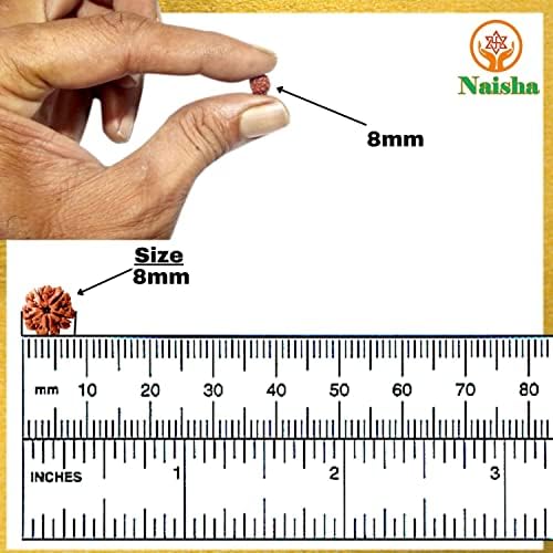 NAISHA 1001 Pcs Natural Rudraksha Beads, 8mm Loose Mala Jewelry Making