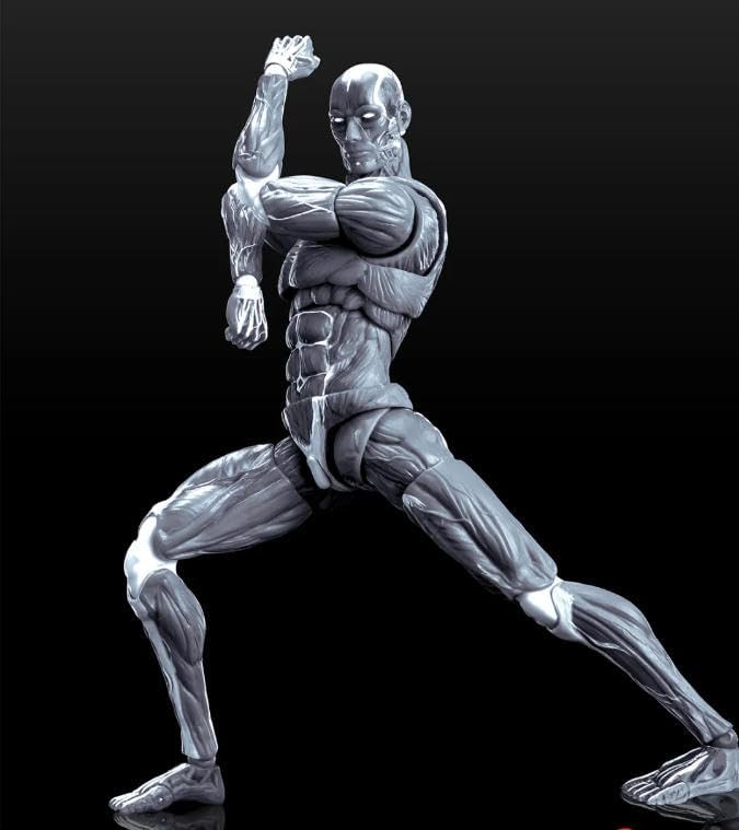 leboo gamasho keepgoing 1/12 male action body, muscle shown in use