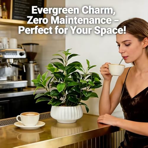 Artificial Peperomia Plants 16” Tall Lifelike Faux Greenery in 6” White Ribbe...