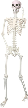 5.9Ft/180cm Giant Skeleton Poseable Skeleton Realistic Full Body Bones for Halloween Decorations