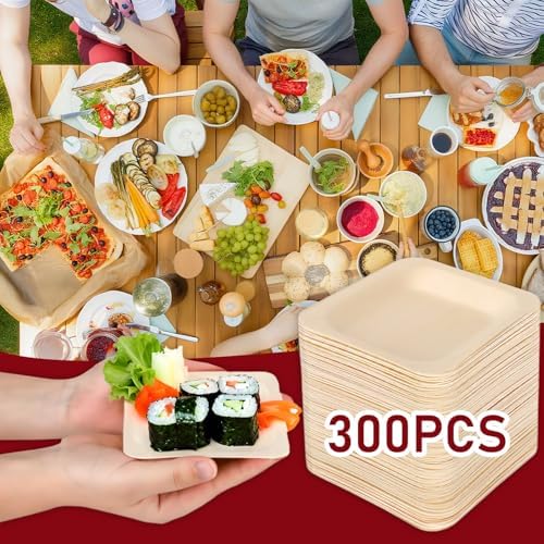 CONLI 300 Pcs Square Disposable Wood Bowls Bamboo Appetizer Plates