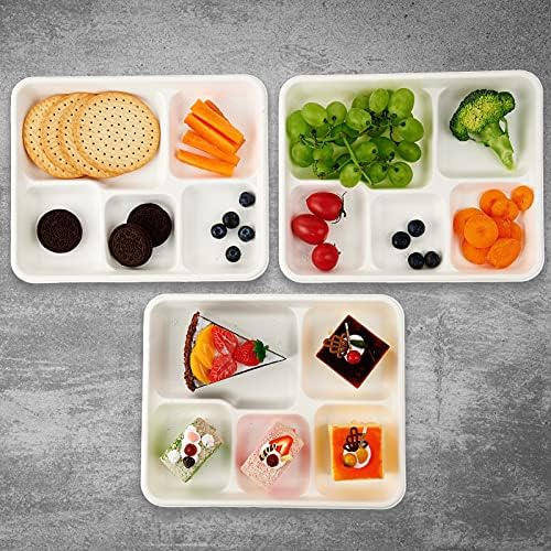 Vplus 125 Pack 5 Compartment Plates, Compostable Plate, 10.2x8.5 inch