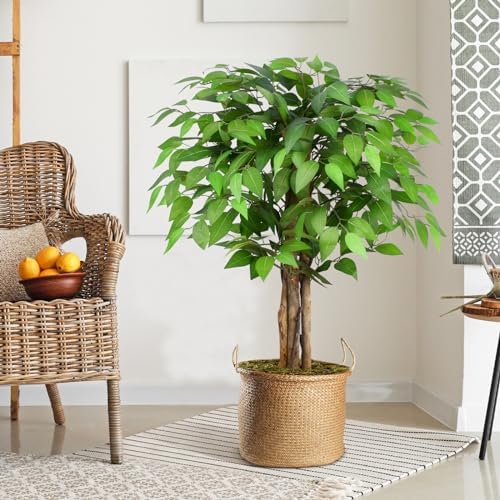 3ft Ficus Artificial Trees with Natural Curved Trunks, 36" Tall Lush Faux Tree for Home Decor Indoor, Green Lifelike Fake Ficus Tree Artificial Plants(Set of 2)
