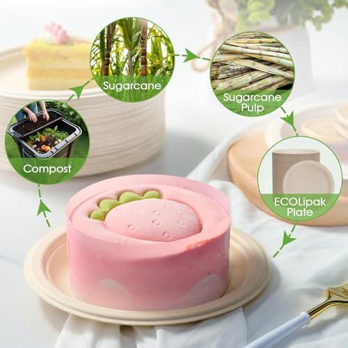 ECOLipak 6 in 500 Pack Natural Disposable Compostable Dessert Paper Plates
