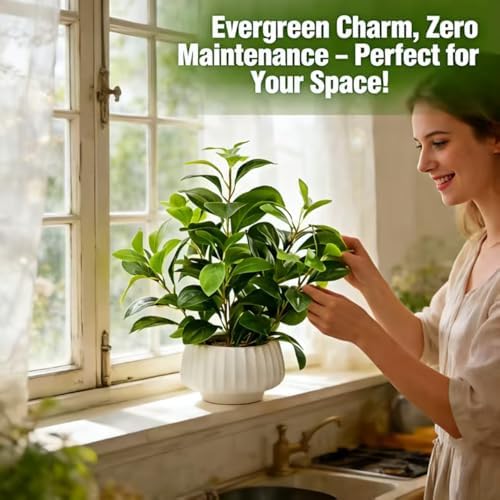 Artificial Peperomia Plants 16” Tall Lifelike Faux Greenery in 6” White Ribbe...