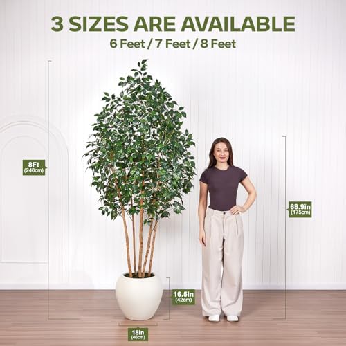 VeriNatural 8ft Artificial Ficus Tree with White Plante&Real Wood Trunks