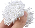 HAHIYO 700Pcs 2mm White Matte Double Heads Flower Stamen Pistil for Flower Making Scrapbook Decoration - Handmade Artificial Flower Pistil Matt-Like Floral Stamens Flowers Pollen Stamen