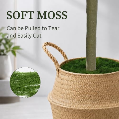 Olive Trees Artificial Indoor, 5FT Tall Faux Olive Tree with Planter