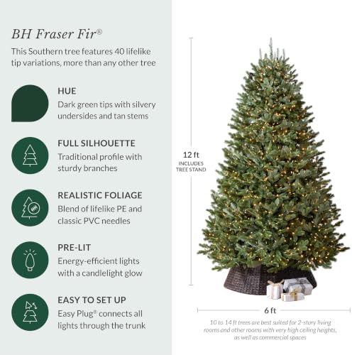 Balsam Hill BH Fraser Fir - Full Christmas Tree with Most Realistic True Needle Foliage, Easy Plug Technology & Multiple Height and Lighting Options, LED Clear, 12ft