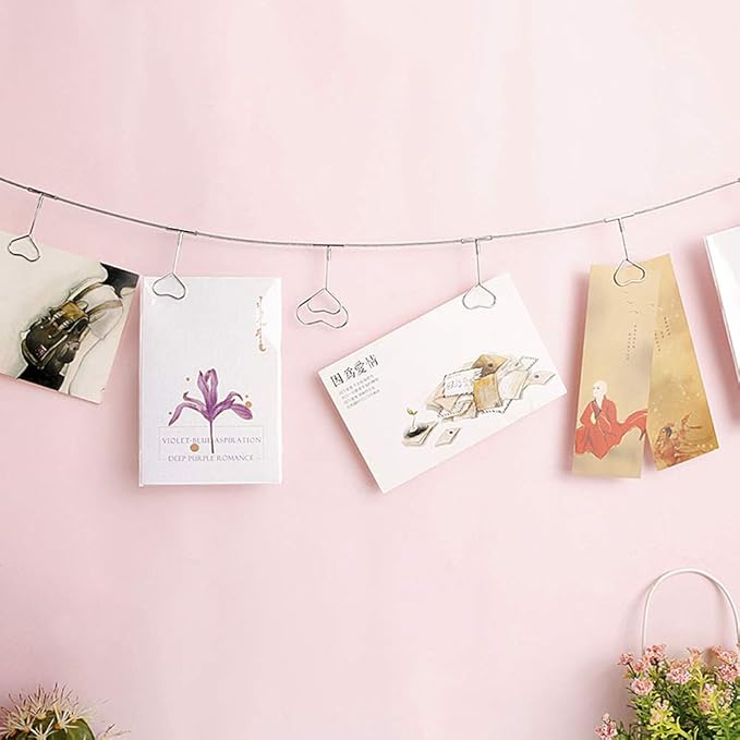 Multi-Purpose Steel Wall Hanging Photo Display Cable Wire Rod String with 12 Clips for Hanging Photos Notes and Artworks (Heart Shape Clip)