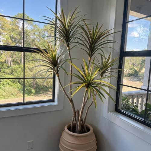 Dracaena marginata Artificial Plant 4.2ft, Faux Dragon Tree in Pot