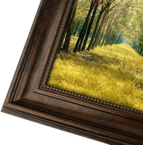 16x20 Ornate Picture Frame,Real Glass,Dark Brown Poster Photo Frame