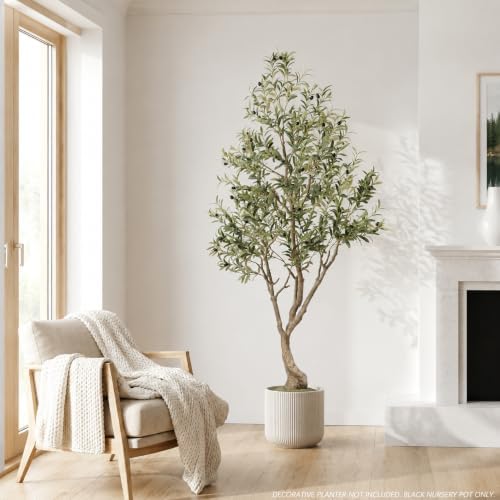 6FT Olive Trees Artificial Indoor - Thick Trunk & Lifelike Fruits
