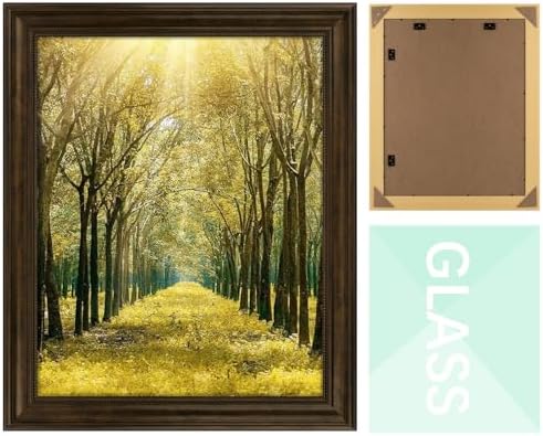 16x20 Ornate Picture Frame,Real Glass,Dark Brown Poster Photo Frame