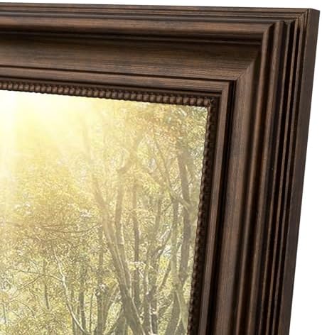 16x20 Ornate Picture Frame,Real Glass,Dark Brown Poster Photo Frame