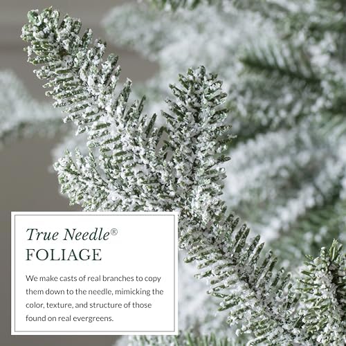 Balsam Hill Frosted Alpine Balsam Fir - Snow-Kissed Artificial Christmas Tree with Pre-Fluffed Memory Wire Branches and LED Clear Fairy Lights, 12'