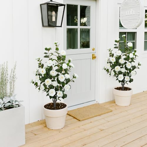 2 Pack 43.3"/3.6FT Artificial Camellia Trees for Outdoor