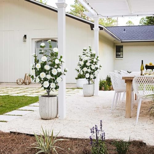 2 Pack 43.3"/3.6FT Artificial Camellia Trees for Outdoor