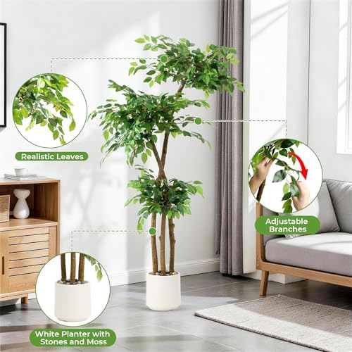 Artificial Ficus Tree with White Planter, Moss and Pebbles, 5FT