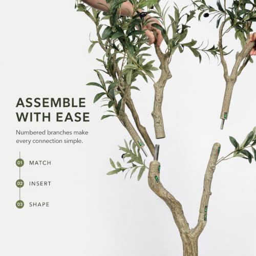 6FT Olive Trees Artificial Indoor - Thick Trunk & Lifelike Fruits