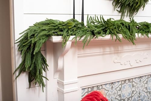 Extra Full 6 ft Real Touch Norfolk Pine Garland Realistic 6ft, Christmas Garland for Mantle, Soft and Bendable Real Touch Garland Christmas Greenery, Evergreen Christmas Garlands for Fireplace, Stairs