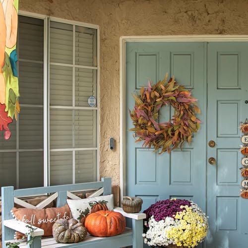 Fall Wreaths for Front Door 22 inch, Olive Fall Wreath with Olive Leaf Fruit, Home Decoration for Outdoor Living Room Indoor Wall and Outside Autumn