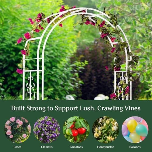 Plow & Hearth Arch Metal Outdoor Garden Arbor Montebello White, 7 Feet Ta...