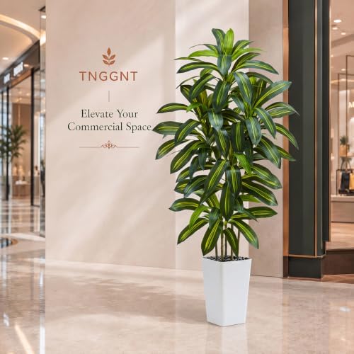 Artificial Dracaena Tree: 5FT Fake Plants Silk Faux Trees（White Pot）