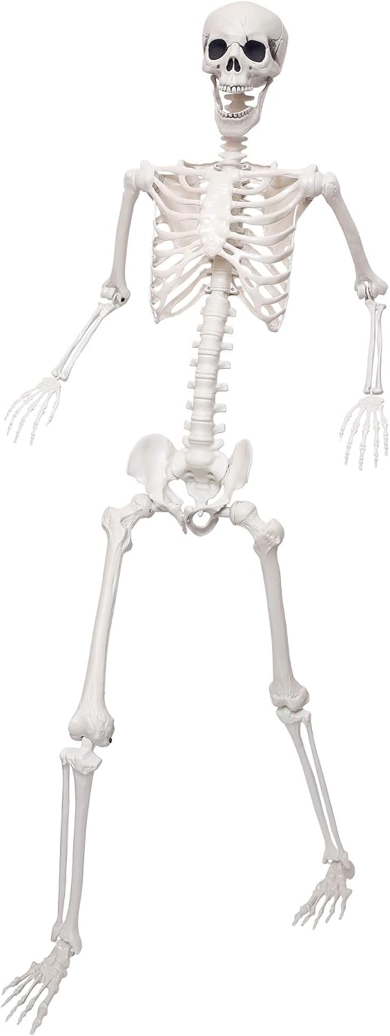 Lodou 5.9Ft/180cm Life Size Giant Skeleton Poseable Plastic Skeleton for Hall...